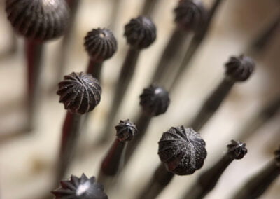 Gereedschap Nieuwstraat1