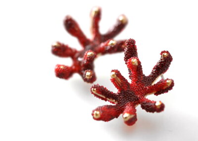 Aişegül Telli - Nieuwstraat1