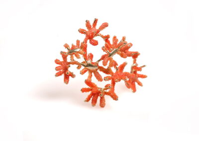 Aişegül Telli - Nieuwstraat1