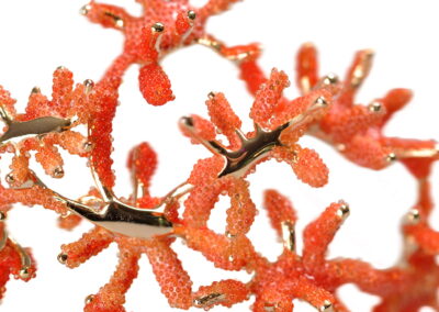 Aişegül Telli - Nieuwstraat1