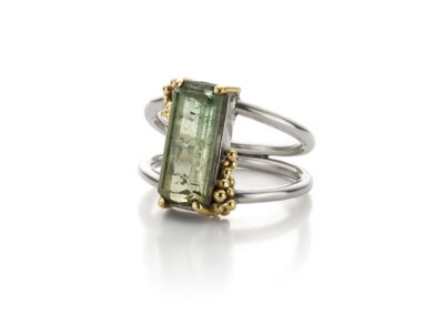 Petra Punt-Rensema - Nieuwstraat1